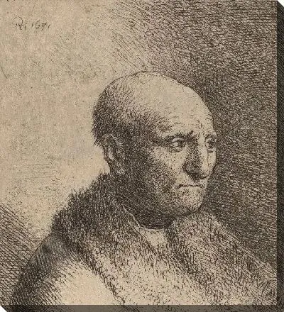Картина Лысый мужчина в шубе (1630)