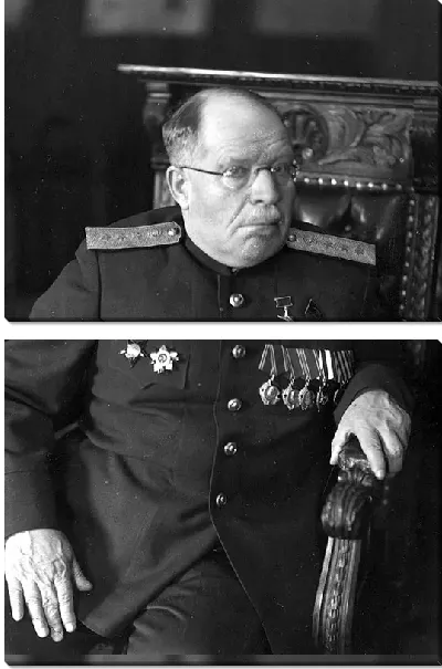 Модульная картина Бурденко Николай