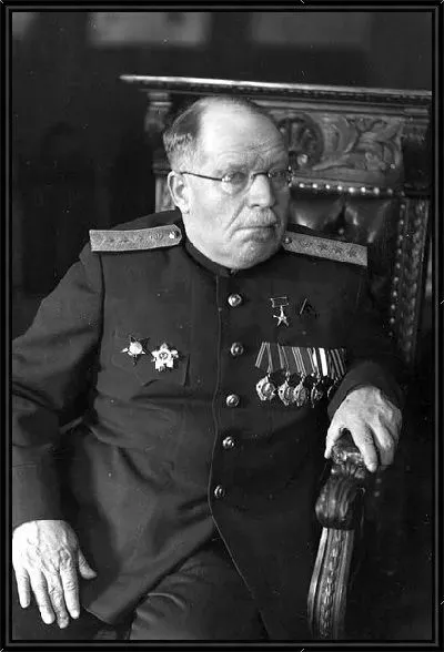 Картина Бурденко Николай