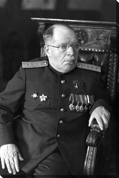 Постер Бурденко Николай