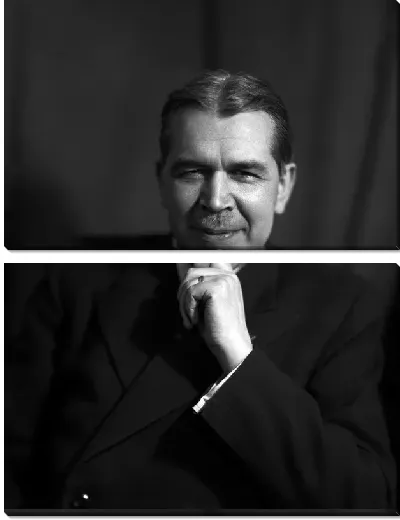 Модульная картина Вавилов Сергей