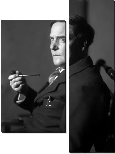 Модульная картина Капица Пётр