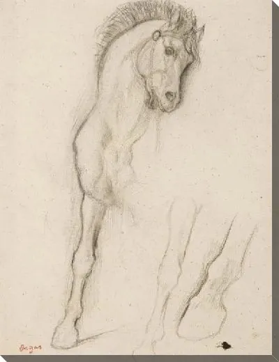 Картина Лошадь, исследование для Александр и Буцефал (1859/1861)