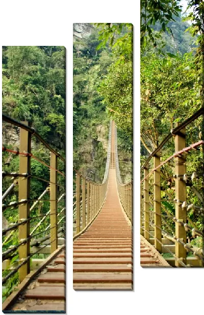 Модульная картина Подвесной мост в джунглях