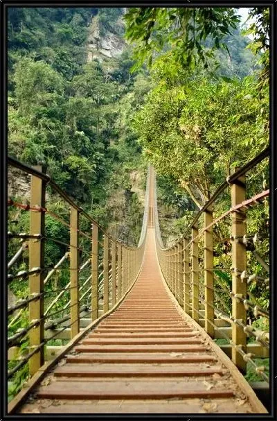 Картина Подвесной мост в джунглях