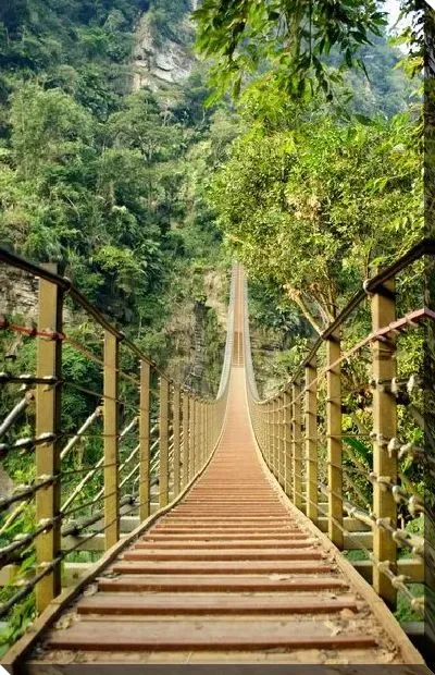Постер Подвесной мост в джунглях
