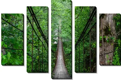 Модульная картина Подвесной канатный мост в джунглях