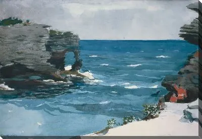 Картина Каменистый берег, Бермуды (1900)