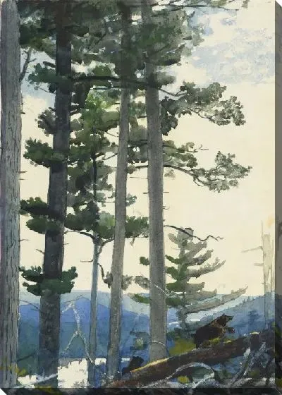 Картина Старые поселенцы (1892)