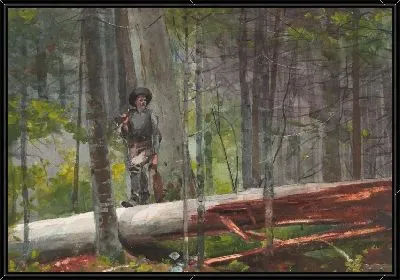 Картина Охотник в Адирондак (1892)
