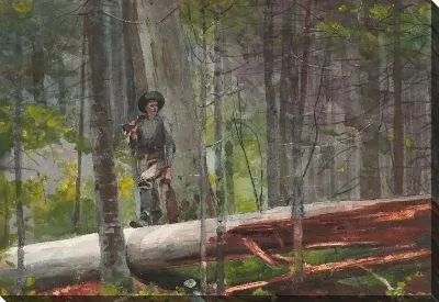 Картина Охотник в Адирондак (1892)