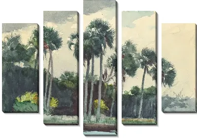 Картина Красная рубашка, Хомосасса, Флорида (1904)