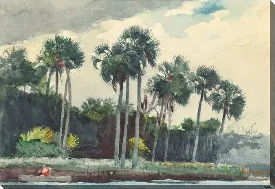 Красная рубашка, Хомосасса, Флорида (1904)