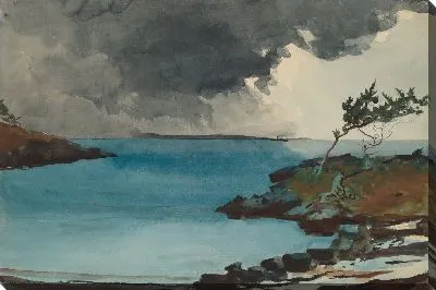 Картина Грядущий шторм (1901)