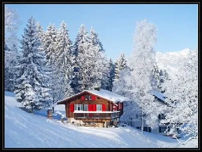 Шале в зимнем лесу в Швейцарии