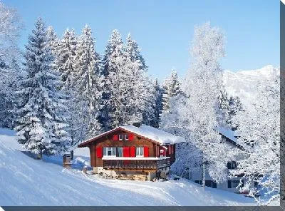 Шале в зимнем лесу в Швейцарии