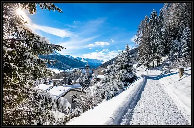 картина