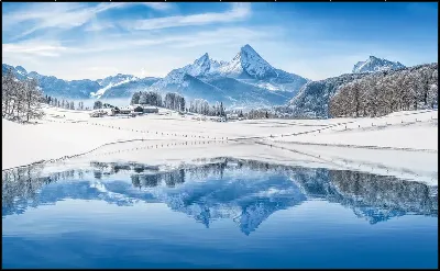картина