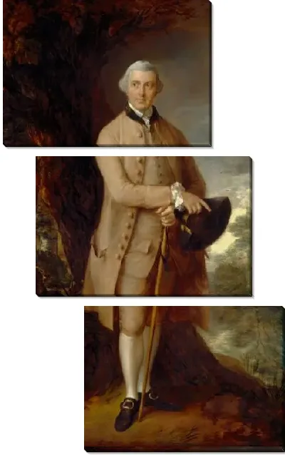 Картина Уильям Джонстон-Палтни, позже 5-й баронет (1772)