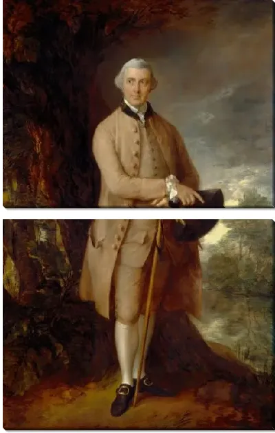 Картина Уильям Джонстон-Палтни, позже 5-й баронет (1772)