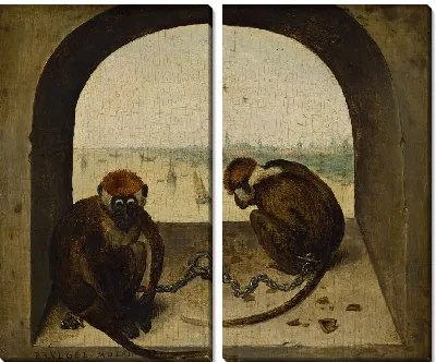 Две прикованные обезьяны (1562)