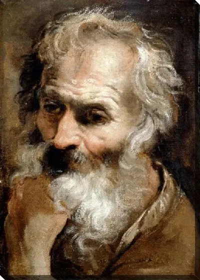 Картина Голова старика (1590-1592) 