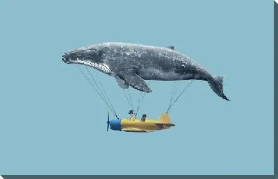 Дирижабль Кит