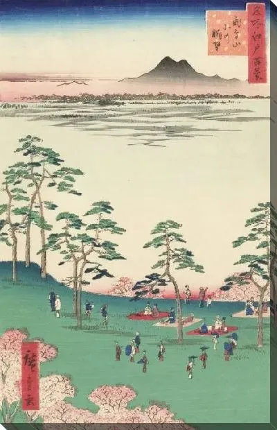 Картина Вид на север (1856) (One Hundred Famous Views of Edo “View to the North from Asukayama Hill”)