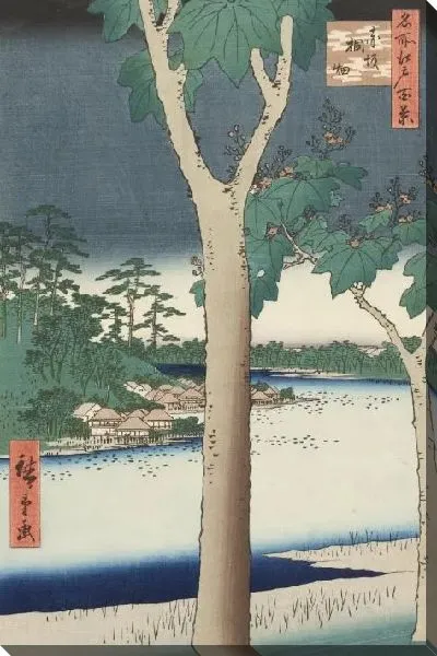 Картина Поле Акасака (1856) (One Hundred Famous Views of Edo “Akasaka Paulownia Field”)