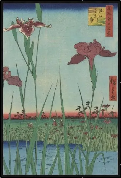 Картина Ханашобу (Meisho Edo Hyakkei - Horikiri no Hanashobu)