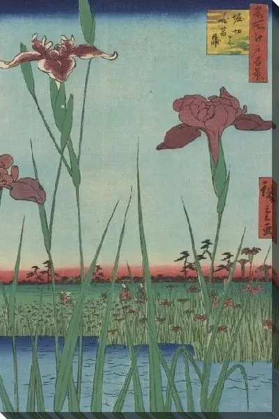 Картина Ханашобу (Meisho Edo Hyakkei - Horikiri no Hanashobu)