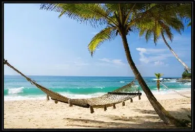 Гамак и пальмы на морском берегу