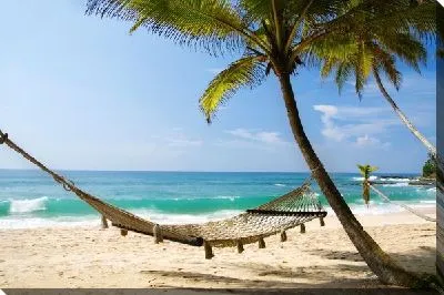 Гамак и пальмы на морском берегу