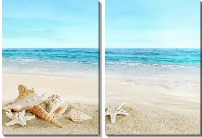 Модульная картина Ракушки на берегу