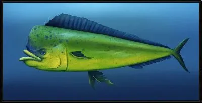 Картина Зелёная рыба на синем фоне