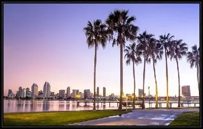 Пальмы на закате на фоне Калифорнии