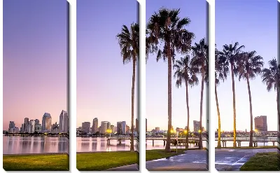 Пальмы на закате на фоне Калифорнии