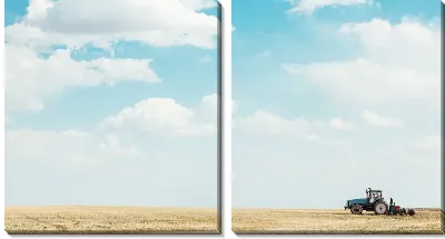 Модульная картина Трактор в поле