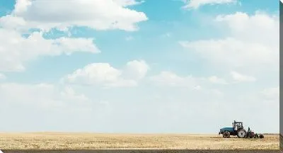 Постер Трактор в поле