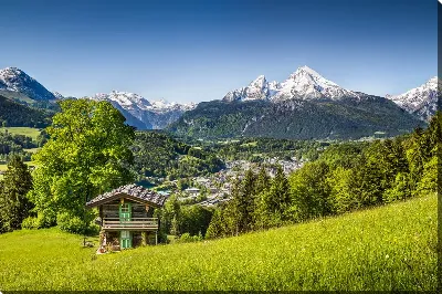 картина