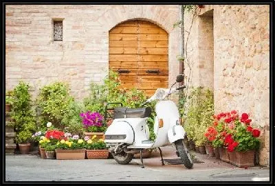 Мопед на фоне стены и цветов