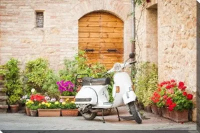 Мопед на фоне стены и цветов