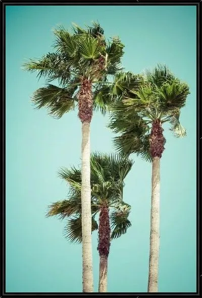 Картина Пальмы на фоне бирюзового неба