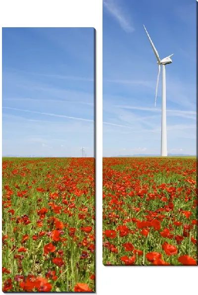 Модульная картина Ветряная мельница в маковом поле