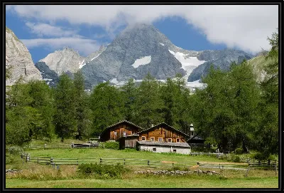 картина