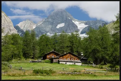 картина