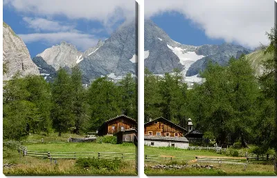 картина