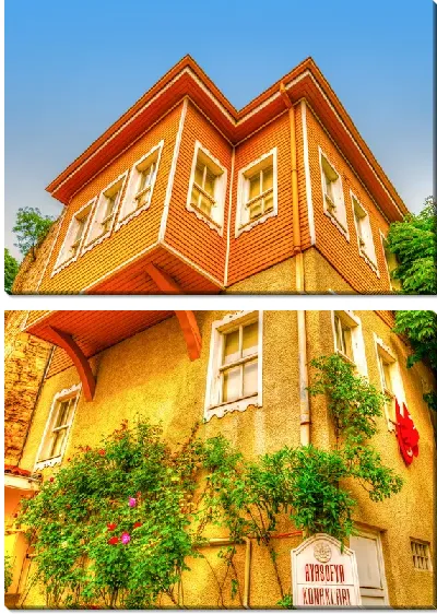 Модульная картина Дом в Стамбуле