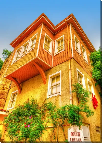 картина