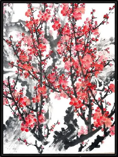 Картина Цветущая слива на белом фоне